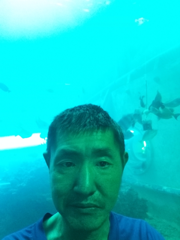 陸戰隊的第一张照片--桃园中老年相亲网